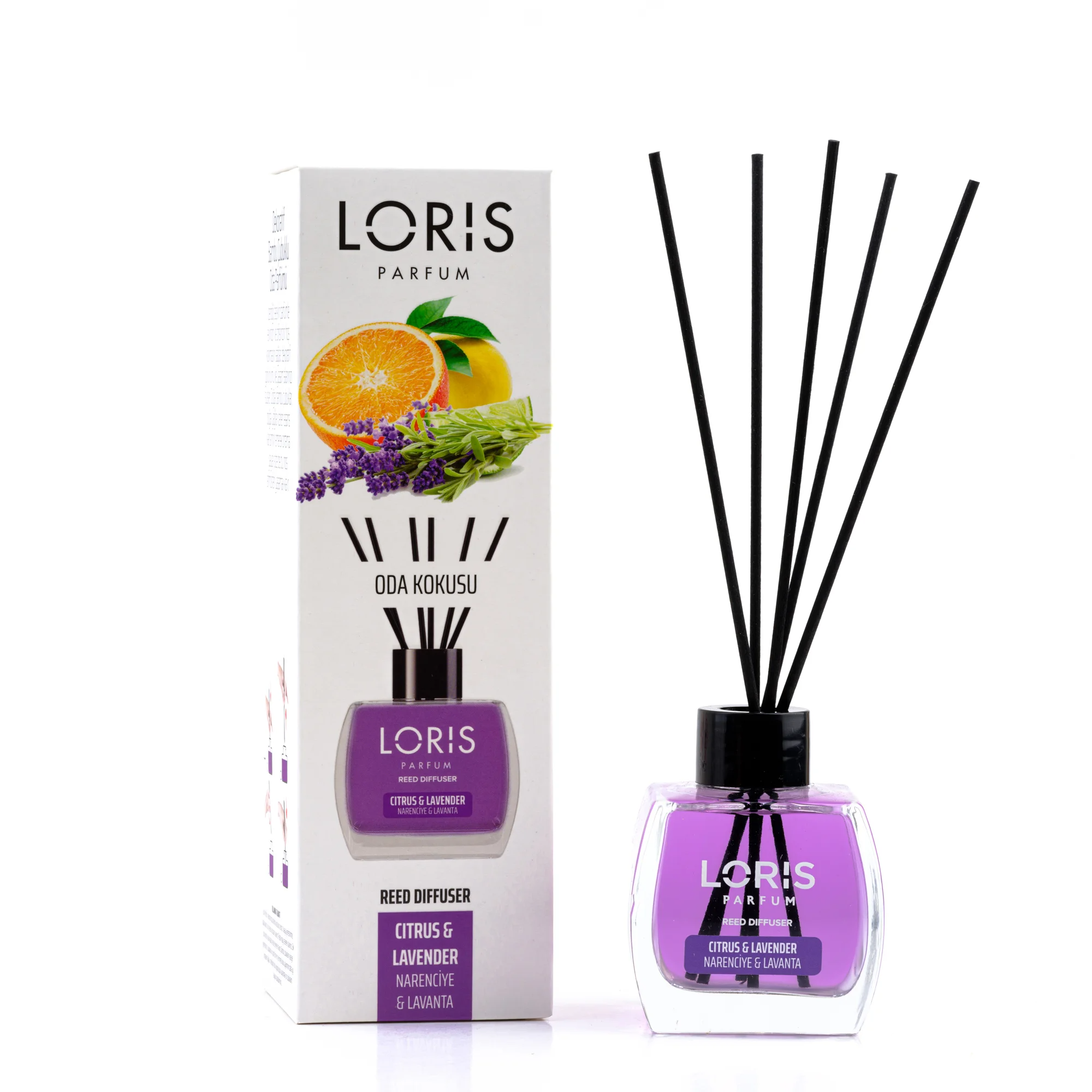 Cirtus & Lavender loris
