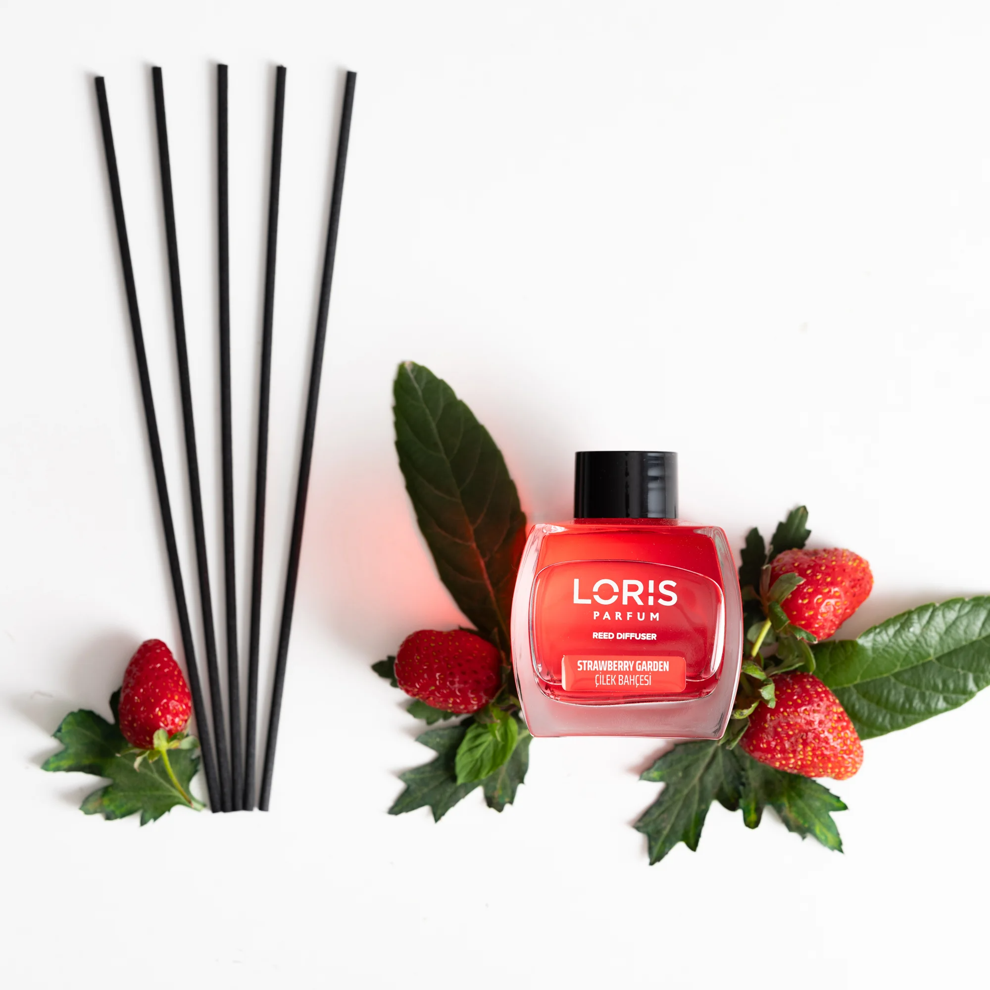 strawberry garden loris
