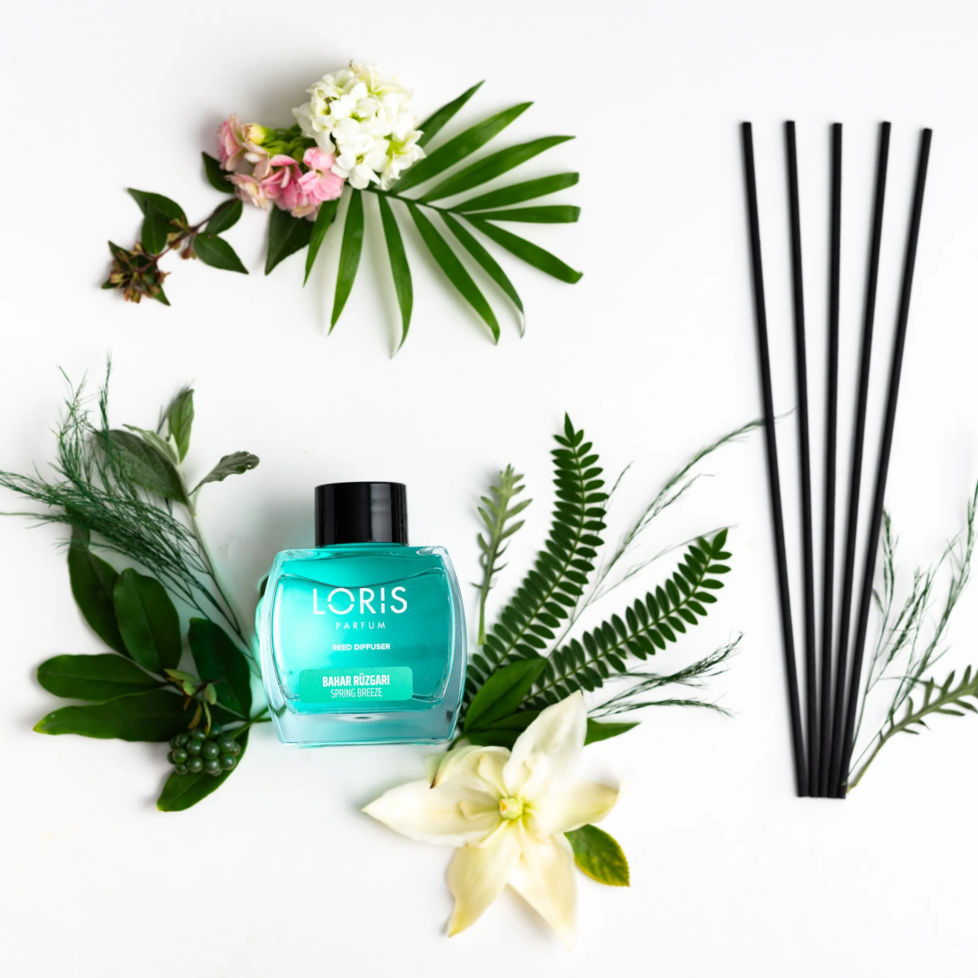 spring breeze Loris