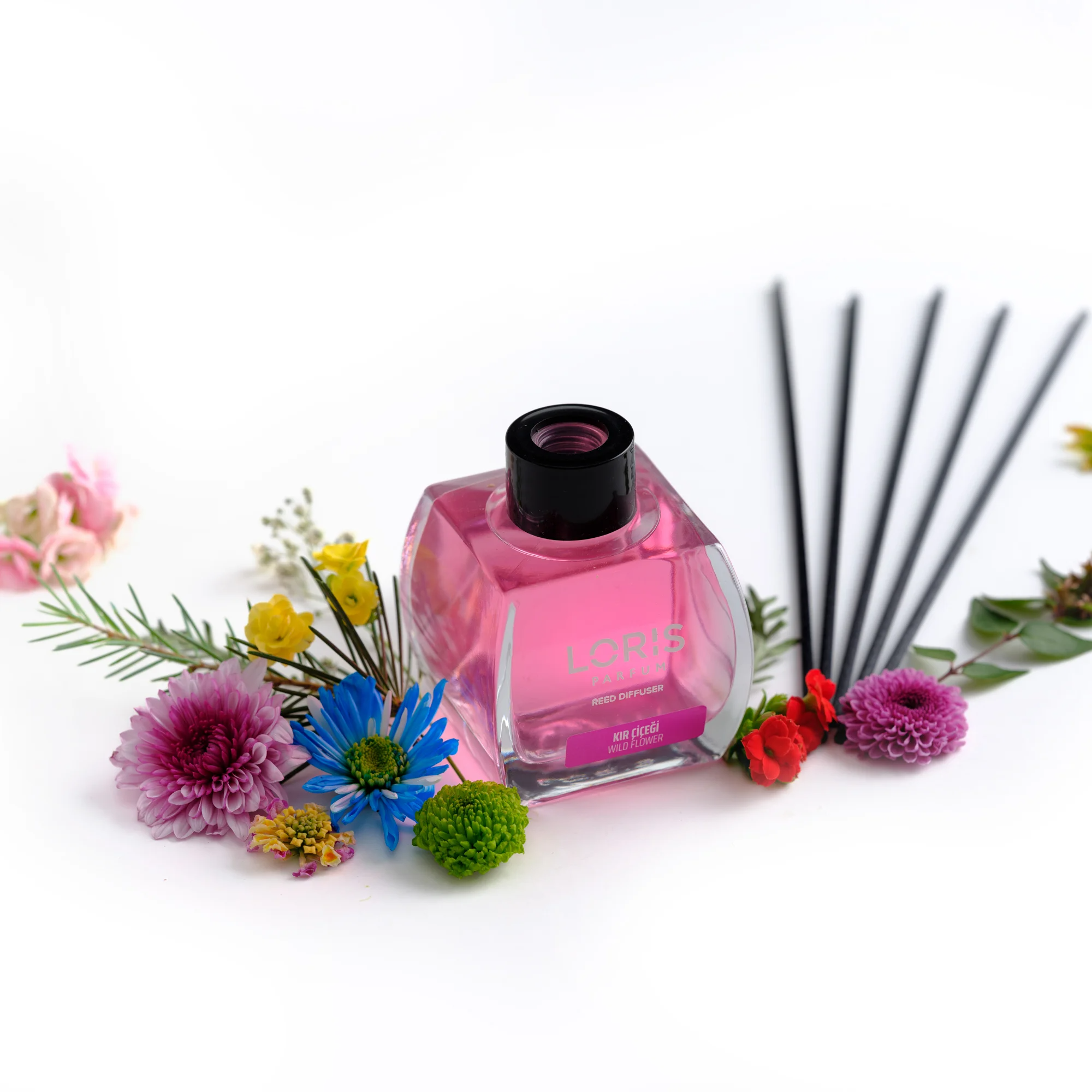 Wild Flowers loris